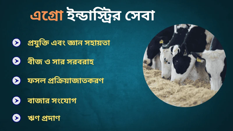 সেরা এগ্রিকালচার এবং এগ্রো ইন্ডাস্ট্রি কোম্পানি কি কি সেবা দেয়